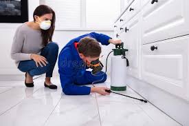 Best Residential Pest Control  in Vandenberg Af, CA